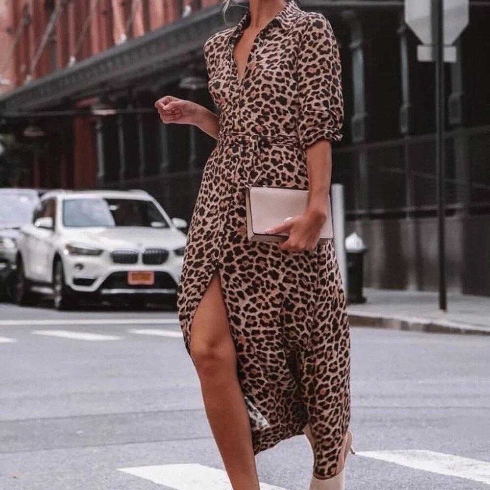 Zara Leopard Print Dress Shirt Style Long Sleeve